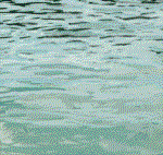 Gondolas in Venice; Actual size=240 pixels wide
