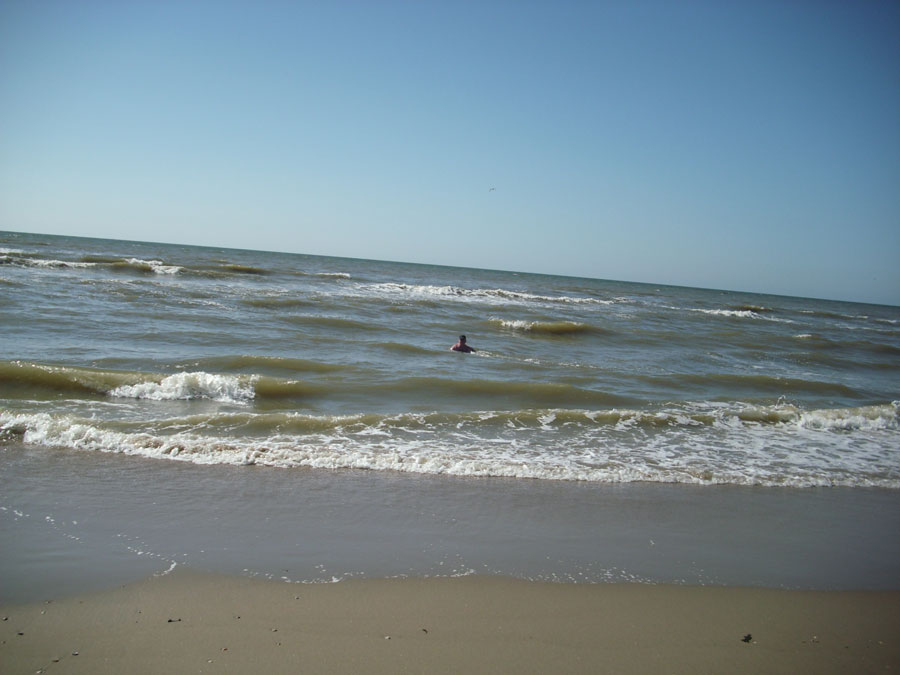strand-02.jpg