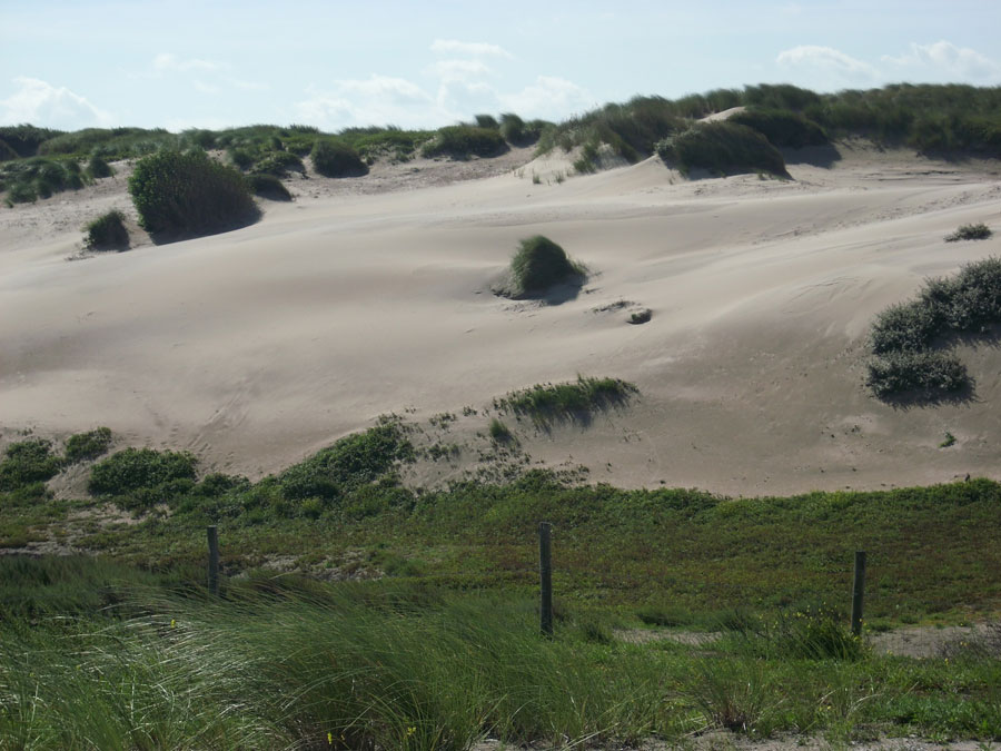 wandern-01.jpg